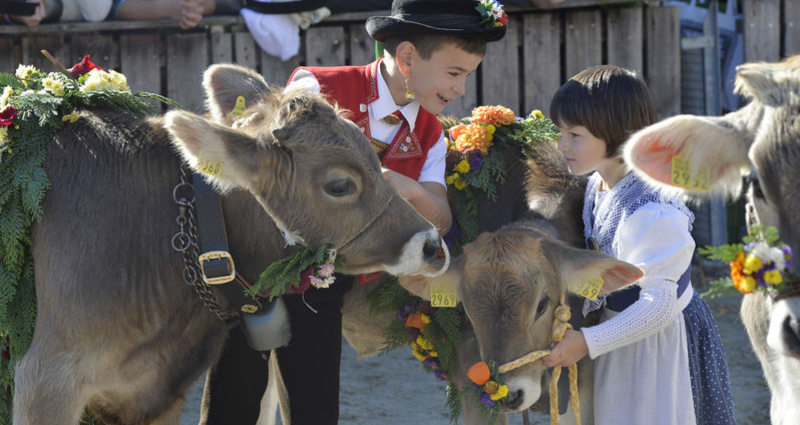 83. OLMA – Schweizer Messe für Landwirtschaft und Ernährung (gdl_404408838_image)