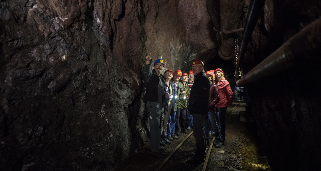 Grosse Führungen im Bergwerk Gonzen Sargans (gdl_466698457_image)