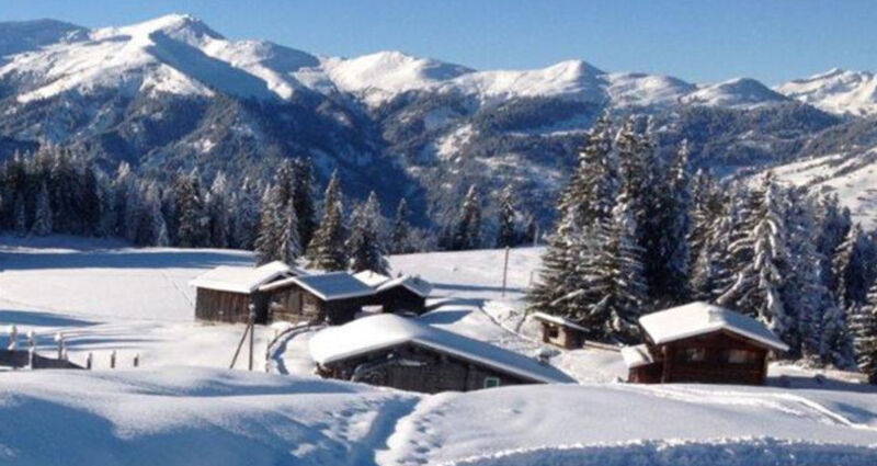 Saisonabschluss Tratza-Beizli (gdl_494873062_image)