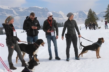 9. Winter-Military (gdl_510560257_image)