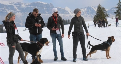 9. Winter-Military (gdl_510560257_image)