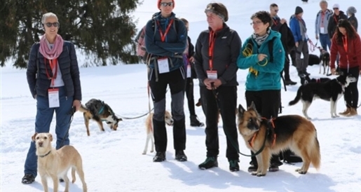 9. Winter-Military (gdl_510560258_image)