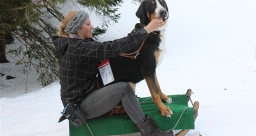 9. Winter-Military (gdl_510560262_image)