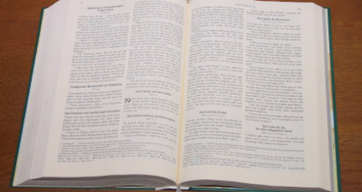 Leben mit der Bibel (gdl_525843724_image)