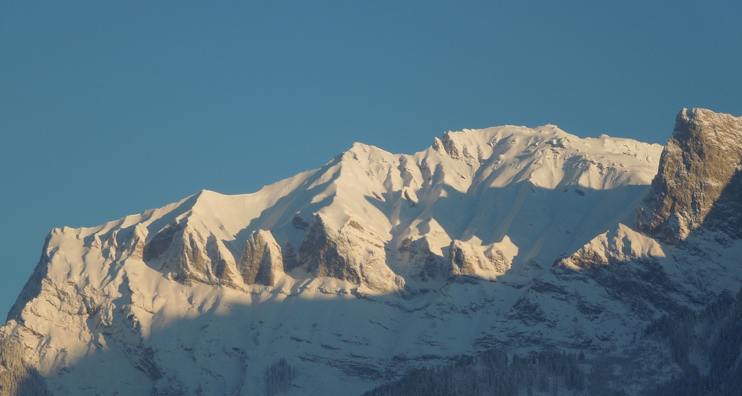 ökumenischer Gottesdienst (gdl_532731186_image)