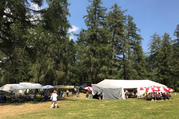 Festival della foresta di Transer (gdl_542555940_image)