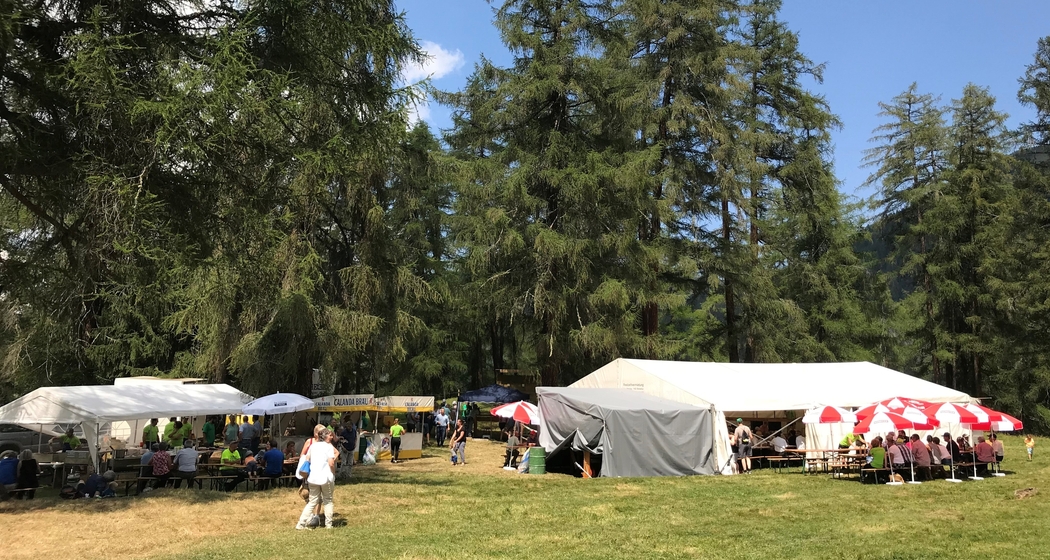 Transer Waldfest (gdl_542555940_image)