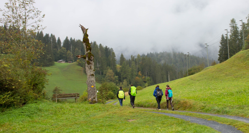 7. Jugend-Pilgertag GR (gdl_551883946_image)