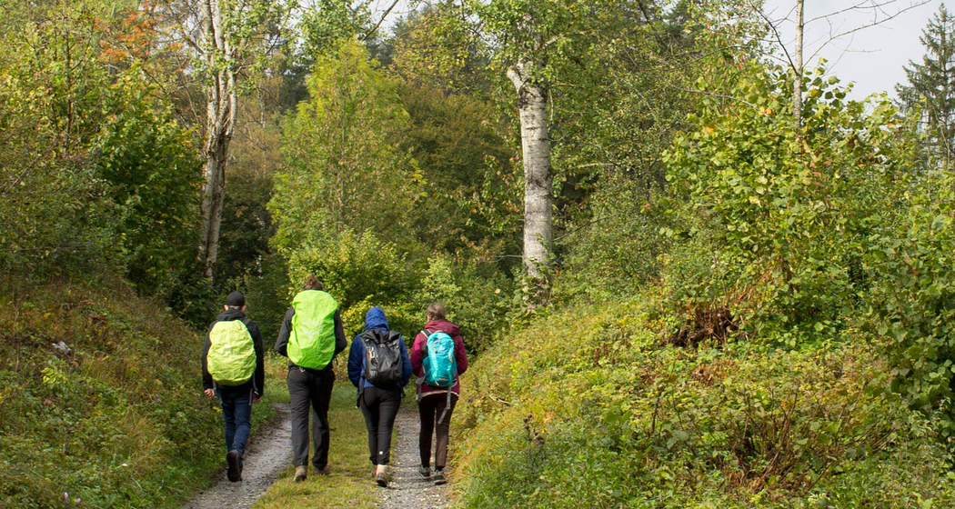 7. Jugend-Pilgertag GR (gdl_551883947_image)