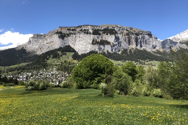 Geologische und geschichtliche Wanderung im Uraltbuchenwald (gdl_595213103_image)