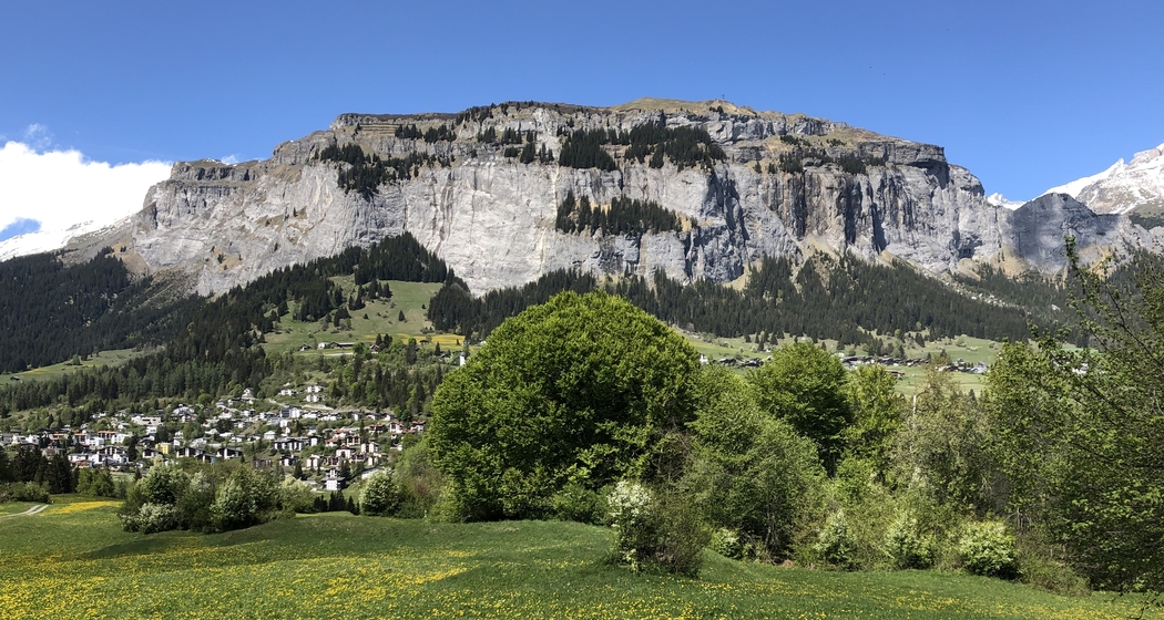 Geologische und geschichtliche Wanderung im Uraltbuchenwald (gdl_595213103_image)