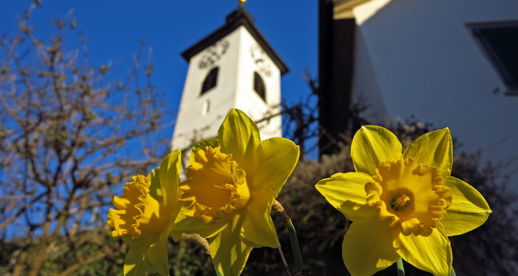 Ostergottesdienst mit wandelndem Abendmahl (gdl_604168643_image)