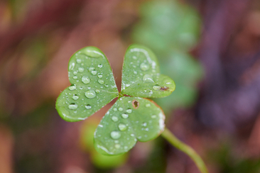 Workshop Grundlagen der Fotografie (gdl_608787993_image)