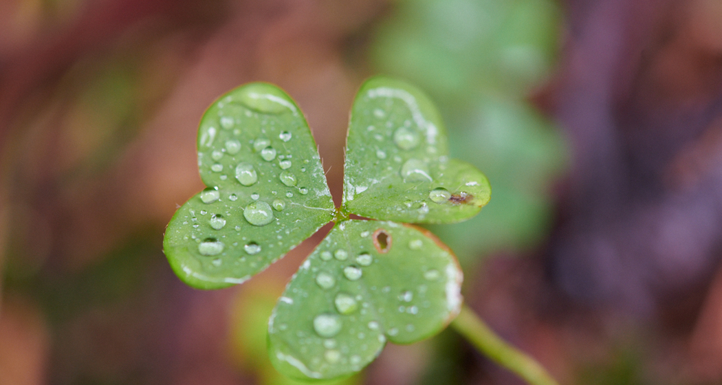 Workshop Grundlagen der Fotografie (gdl_608787993_image)