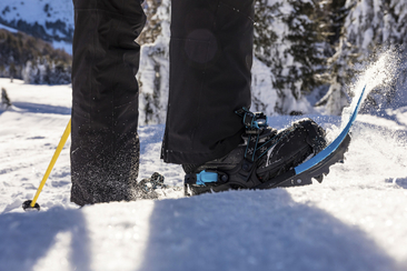 Thomi's Schneeschuhwanderung - San Bernardino - Hinterrhein (gdl_658763174_image)
