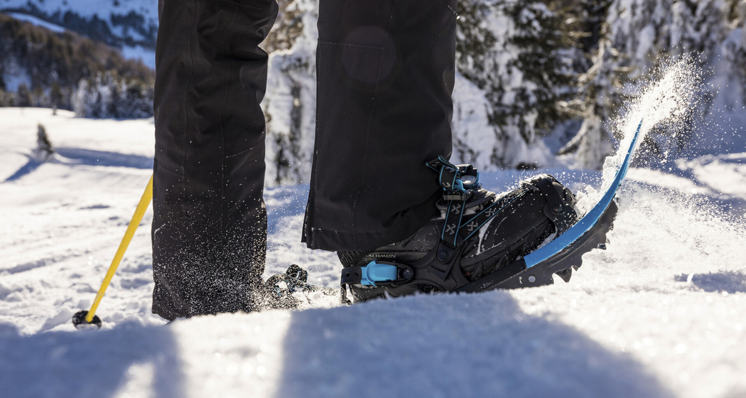 Thomi's Schneeschuhwanderung - San Bernardino - Hinterrhein (gdl_658763174_image)