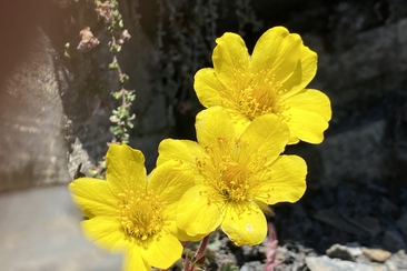 Seniorennachmittag (gdl_665014075_image)