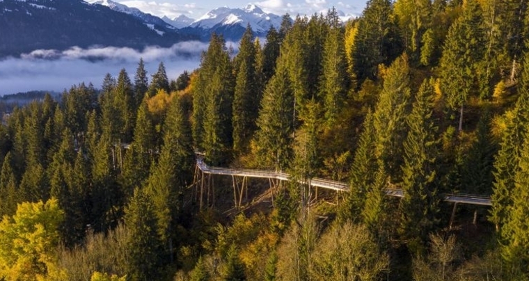 Geologische Wanderung auf dem längsten Baumwipfelpfad der Welt (gdl_668149957_image)