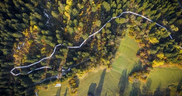 Geologische Wanderung auf dem längsten Baumwipfelpfad der Welt (gdl_668149958_image)