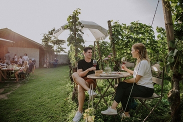 Wii-kend Maienfeld (gdl_677710469_image)