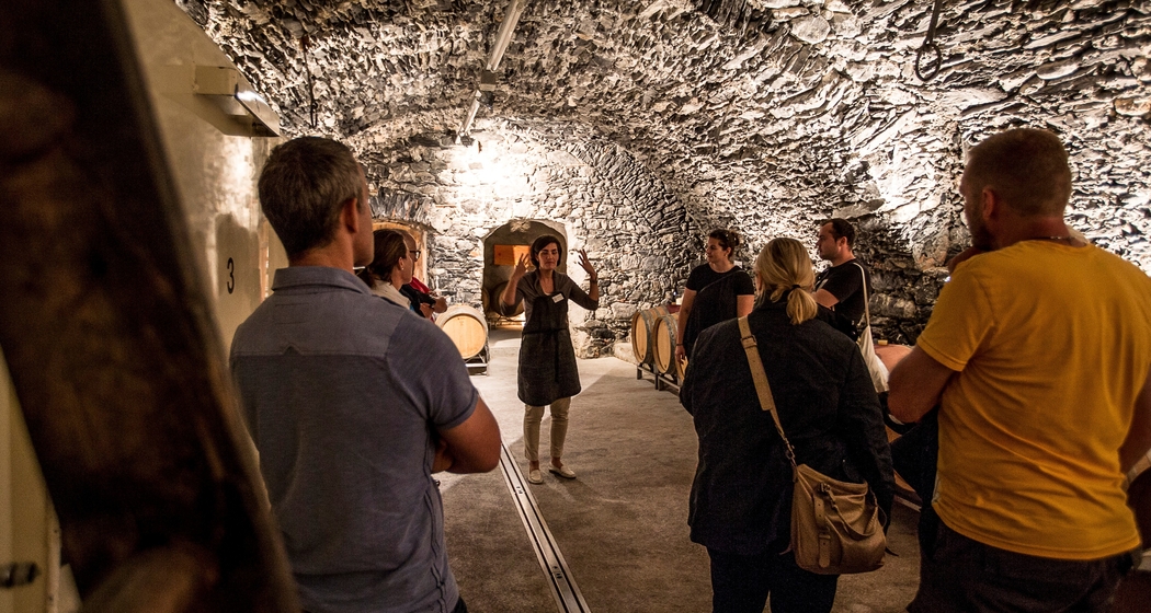 Wii-kend Maienfeld (gdl_677710472_image)