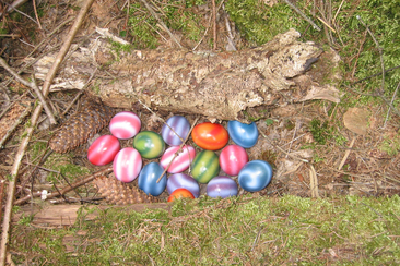 Ostereiersuche für Gross und Klein in Schnaus (gdl_683852603_image)