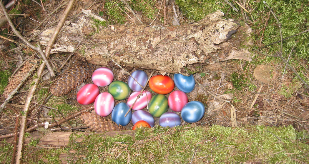 Ostereiersuche für Gross und Klein in Schnaus (gdl_683852603_image)