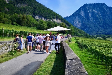 Malanser Weinpromenade (gdl_687380091_image)