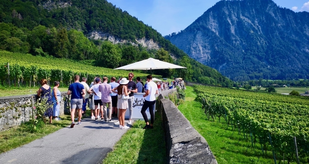 Malanser Weinpromenade (gdl_687380091_image)
