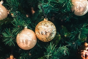 Die Weihnachtsgeschichte in Weihnachtsliedern (gdl_714041814_image)