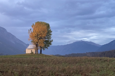 Vorsorge Patientenverfügung (gdl_721444296_image)