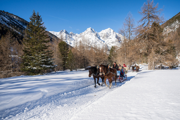 Romantische Pferdeschlittenfahrt ins Val S-charl (gdl_727322535_image)