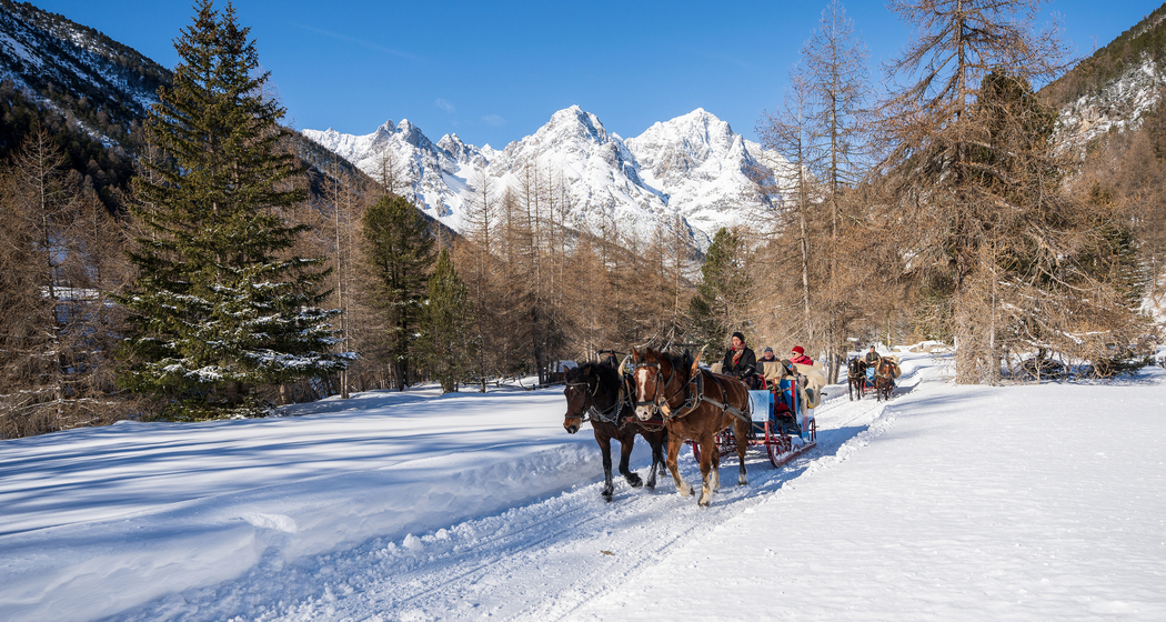 Romantische Pferdeschlittenfahrt ins Val S-charl (gdl_727322535_image)