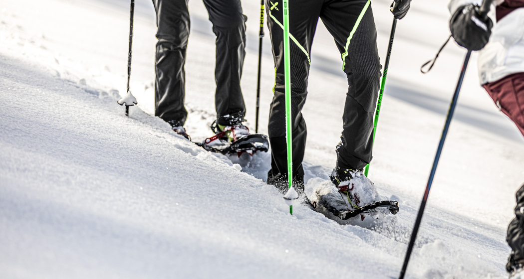 Halbtages-Schneeschuhtour Motta Naluns - Alp Clünas (gdl_727752632_image)