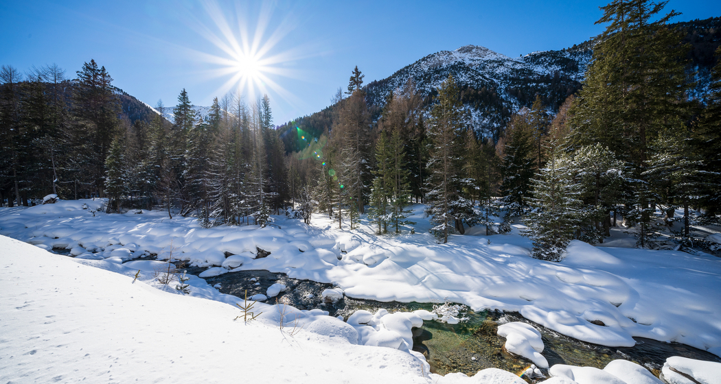 Romantische Pferdeschlittenfahrt ins Val S-charl (gdl_727755729_image)