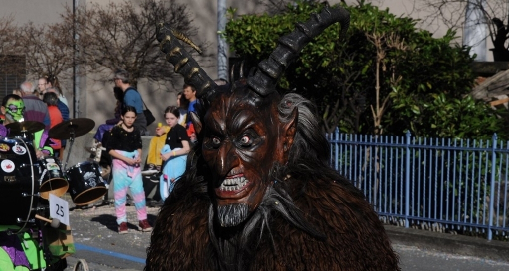 Fasnachtsumzug 2025 - Bad Ragaz (gdl_737061364_image)