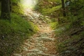 Allerheiligen (gdl_737772146_image)