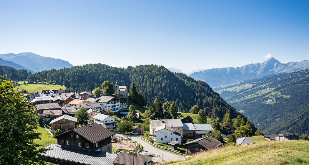 Dorfführung Feldis (gdl_742443111_image)