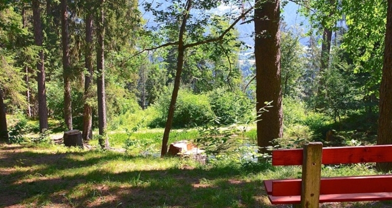 Ökumenischer Gottesdienst im Grünen (gdl_752609219_image)