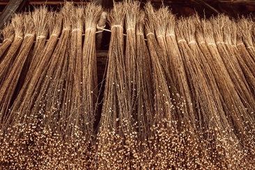 3ème Fraise du lin Val Müstair (gdl_757398933_image)