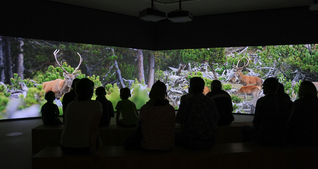 Nationalparkzentrum Zernez (gdl_768010828_image)