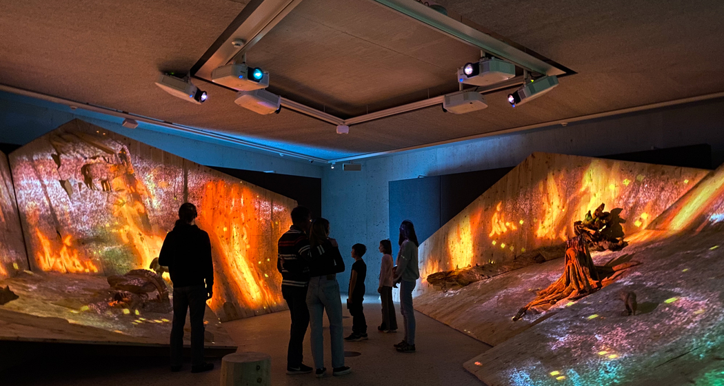 Nationalparkzentrum Zernez (gdl_768013896_image)