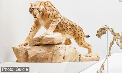 Mammut & Säbelzahntiger. Evolution des Menschen – In einem Land vor unserer Zeit
