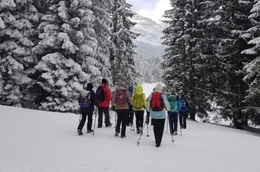 Wanderung für Seniorinnen und Senioren (gdl_785345989_image)