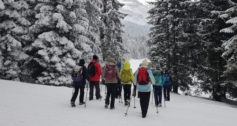 Wanderung für Seniorinnen und Senioren (gdl_785345989_image)