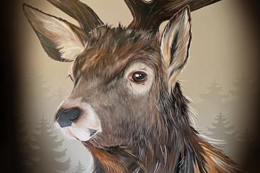 Ausstellung "Animals dallas muntognas" in Waltensburg (gdl_786251619_image)