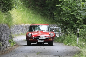 Heidi Classic (gdl_787693195_image)