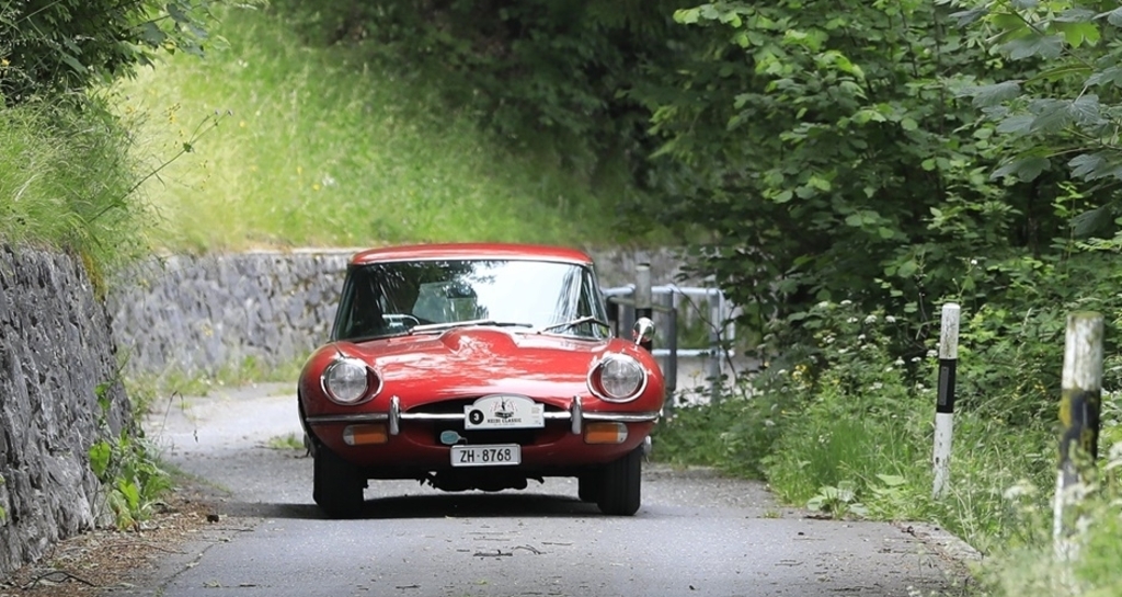 Heidi Classic (gdl_787693195_image)