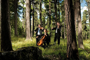 Camerata Pontresina 2026 (gdl_788440133_image)