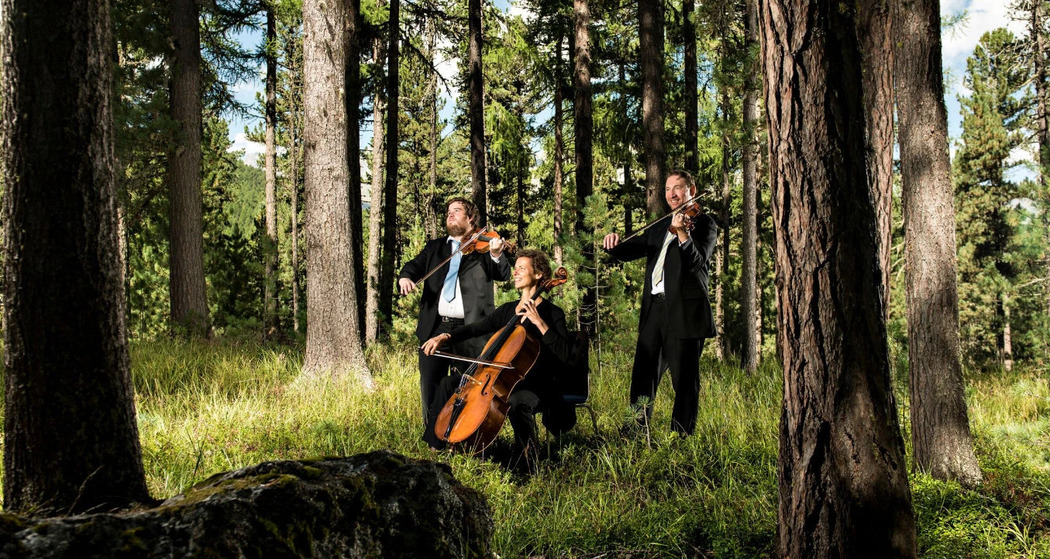 Camerata Pontresina 2026 (gdl_788440133_image)